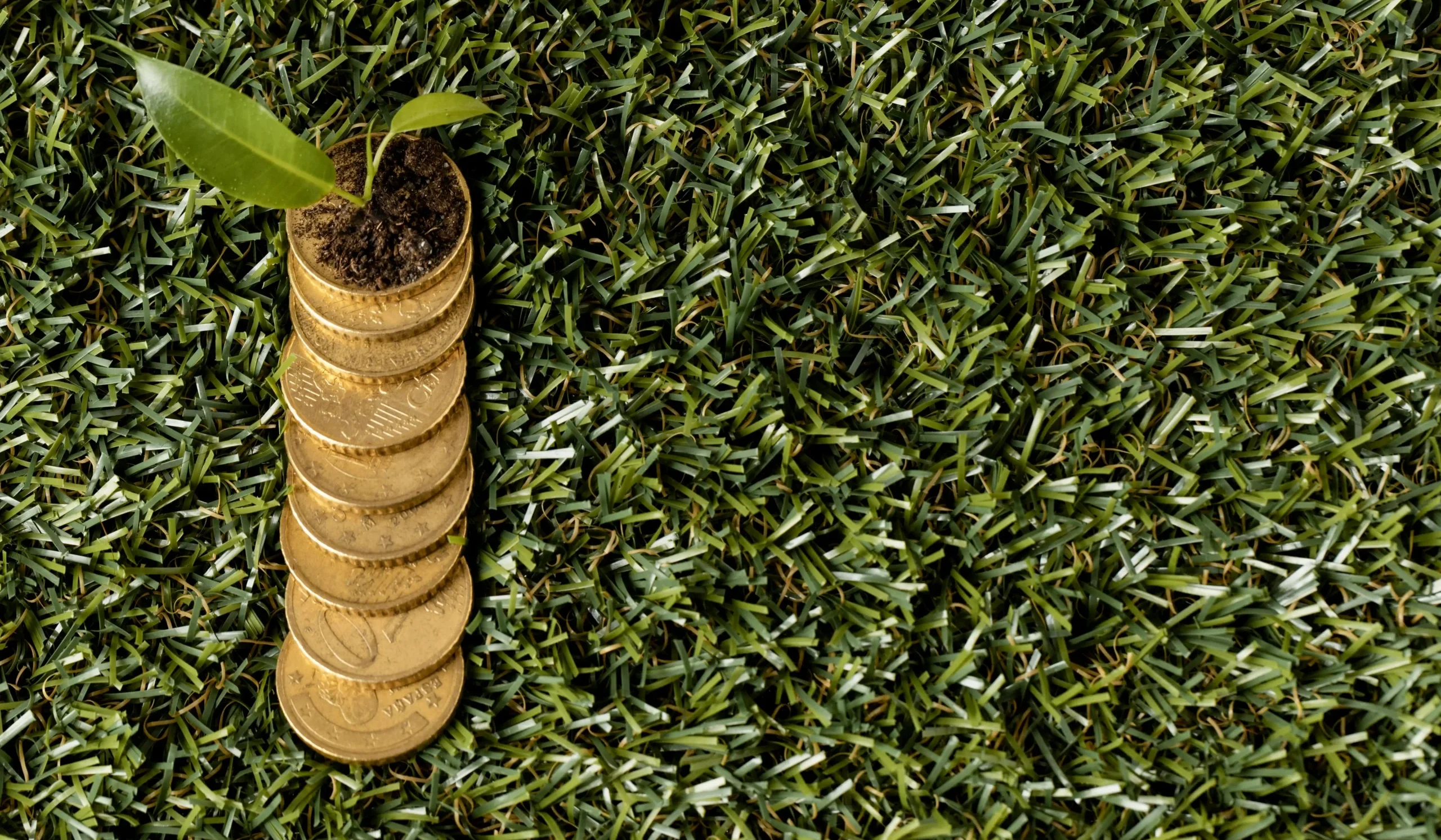 2025’s Global Investment Landscape Where Capital Is Moving in the Post-Inflation Era