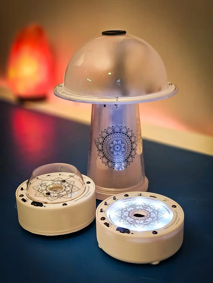 Eric Gagnon: The Birth of the Musical Mushroom and the Mysterious Synchronizations